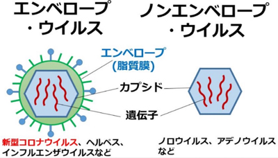 知識 ウイルスとは 株式会社atcost